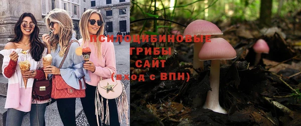 соль курить ск Алзамай