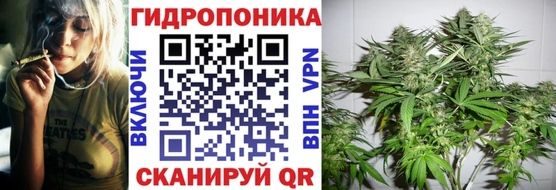 Конопля гибрид  Лебедянь 